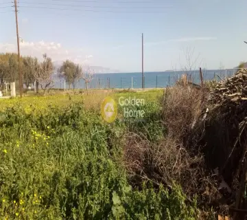 Επαγγελ. Οικόπεδο 3300τ.μ. προς πώληση φωτογραφία 2