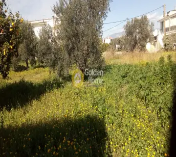Επαγγελ. Οικόπεδο 3300τ.μ. προς πώληση φωτογραφία 4