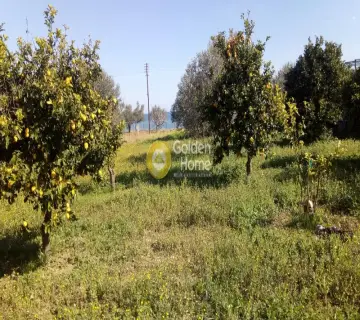Επαγγελ. Οικόπεδο 3300τ.μ. προς πώληση φωτογραφία 5