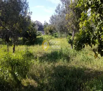 Επαγγελ. Οικόπεδο 3300τ.μ. προς πώληση φωτογραφία 6