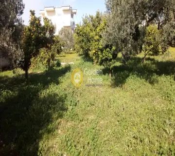 Επαγγελ. Οικόπεδο 3300τ.μ. προς πώληση φωτογραφία 7