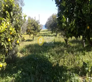 Επαγγελ. Οικόπεδο 3300τ.μ. προς πώληση φωτογραφία 8