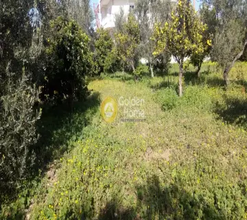 Επαγγελ. Οικόπεδο 3300τ.μ. προς πώληση φωτογραφία 10