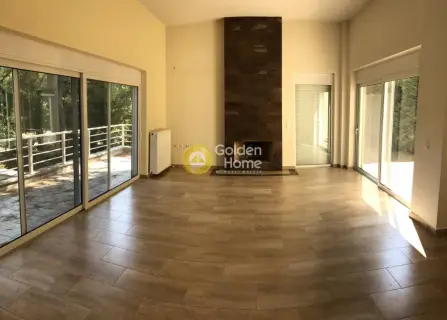 Μεζονέτα Ανεξάρτητη 320τ.μ. προς πώληση φωτογραφία 14