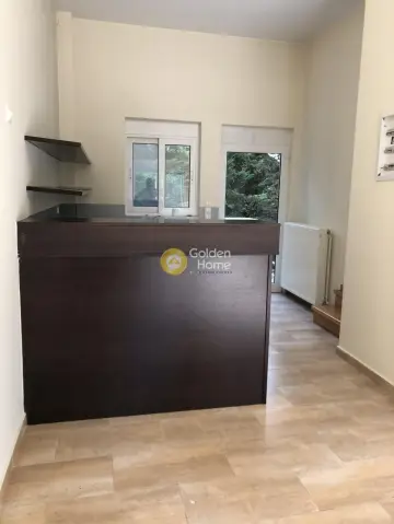 Μεζονέτα Ανεξάρτητη 320τ.μ. προς πώληση φωτογραφία 18