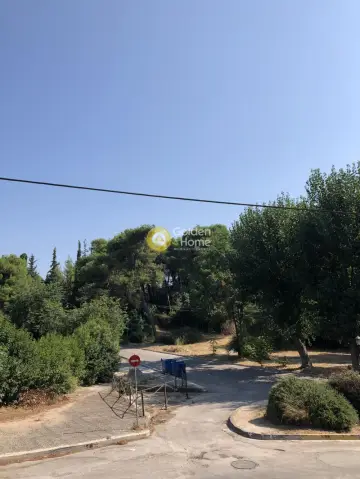 Μεζονέτα Ανεξάρτητη 320τ.μ. προς πώληση φωτογραφία 3