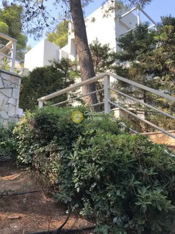 Μεζονέτα Ανεξάρτητη 320τ.μ. προς πώληση φωτογραφία 8