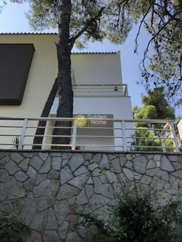 Μεζονέτα Ανεξάρτητη 320τ.μ. προς πώληση φωτογραφία 13