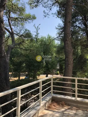 Μεζονέτα Ανεξάρτητη 320τ.μ. προς πώληση φωτογραφία 2
