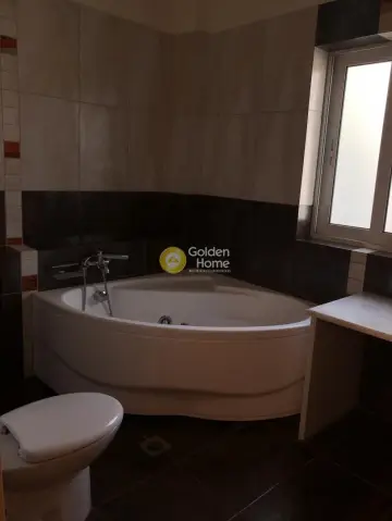 Μεζονέτα Ανεξάρτητη 320τ.μ. προς πώληση φωτογραφία 23