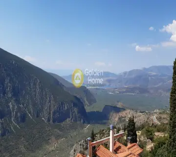 Golden Home Property Image