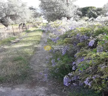Μεζονέτα Ανεξάρτητη 210τ.μ. προς πώληση φωτογραφία 15