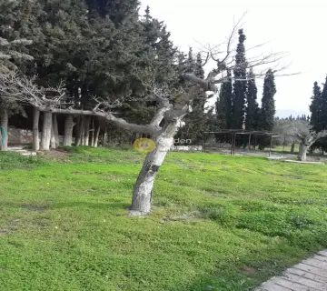 Μεζονέτα Ανεξάρτητη 210τ.μ. προς πώληση φωτογραφία 13