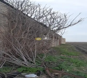 Professional Plot 14000m<sup>2</sup> for sale photo 4
