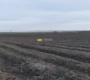 Professional Plot 14000m<sup>2</sup> for sale photo 5