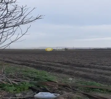 Professional Plot 14000m<sup>2</sup> for sale photo 6