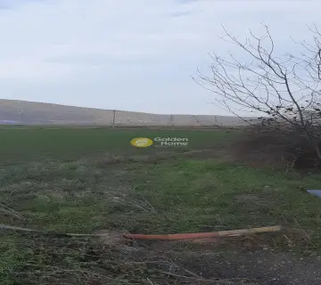 Professional Plot 14000m<sup>2</sup> for sale photo 15