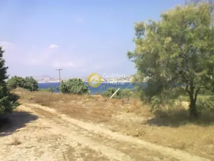 Οικιστικό 5065τ.μ. προς πώληση φωτογραφία 1
