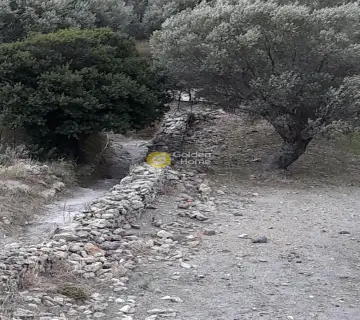 Οικιστικό 5000τ.μ. προς πώληση φωτογραφία 2