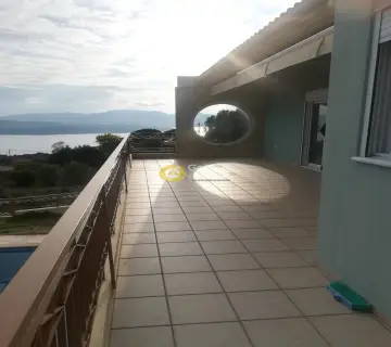 Μονοκατοικία 380τ.μ. προς πώληση φωτογραφία 8