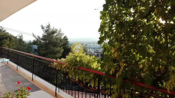 Οροφομεζονέτα 242τ.μ. προς ενοικίαση φωτογραφία 6