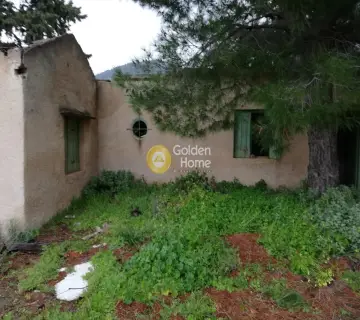 Οικιστικό 3600τ.μ. προς πώληση φωτογραφία 5