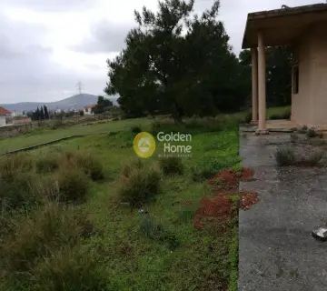 Οικιστικό 3600τ.μ. προς πώληση φωτογραφία 2