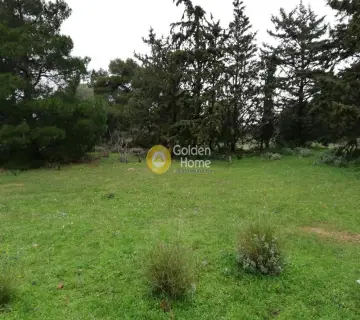 Οικιστικό 3600τ.μ. προς πώληση φωτογραφία 1
