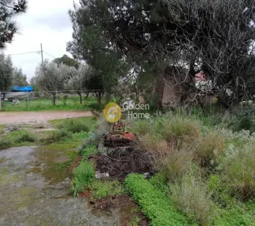 Οικιστικό 3600τ.μ. προς πώληση φωτογραφία 4