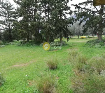 Οικιστικό 3600τ.μ. προς πώληση φωτογραφία 3