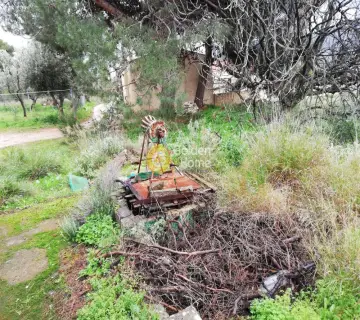 Οικιστικό 3600τ.μ. προς πώληση φωτογραφία 6