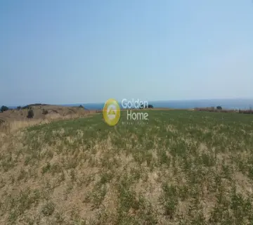 Αγροτεμάχιο 8100τ.μ. προς πώληση φωτογραφία 1897497