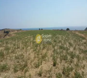 Αγροτεμάχιο 8100τ.μ. προς πώληση φωτογραφία 1897497