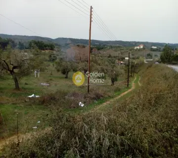 Parcel 5178m<sup>2</sup> for sale photo 1536568