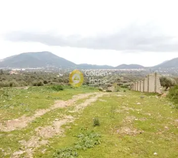 Οικιστικό 4500τ.μ. προς πώληση φωτογραφία 1543166