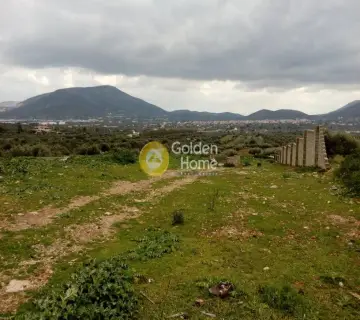 Οικιστικό 4500τ.μ. προς πώληση φωτογραφία 1543167