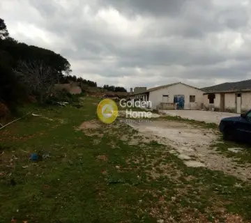 Οικιστικό 4500τ.μ. προς πώληση φωτογραφία 1543168