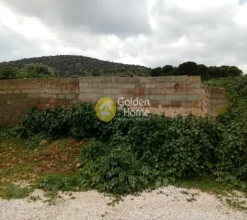 Οικιστικό 4500τ.μ. προς πώληση φωτογραφία 1543169