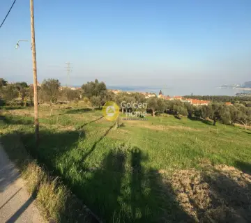 Residential 2766m<sup>2</sup> for sale photo 10