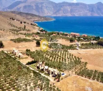 Golden Home Property Image