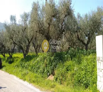 Residential 3612m<sup>2</sup> for sale photo 1559599