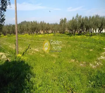 Residential 3612m<sup>2</sup> for sale photo 1559599