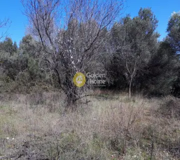 Residential 388m<sup>2</sup> for sale photo 4