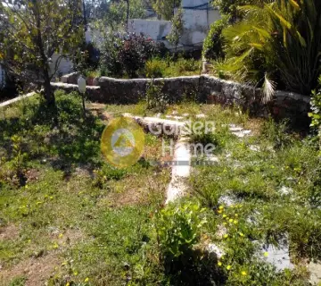 House 60m<sup>2</sup> for rent photo 7