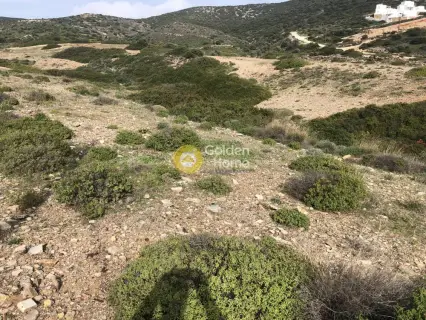 住宅 6800m<sup>2</sup> for sale photo 8