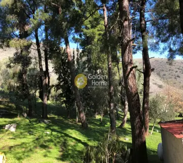 Professional Plot 400000m<sup>2</sup> for sale photo 8