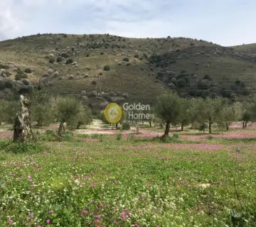 Professional Plot 400000m<sup>2</sup> for sale photo 11