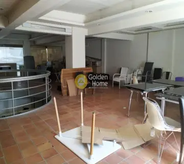 Αυτόνομο Κτίριο 1450τ.μ. προς πώληση φωτογραφία 15