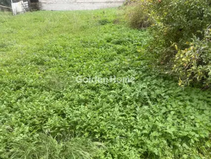 Residential 400m<sup>2</sup> for sale photo 3