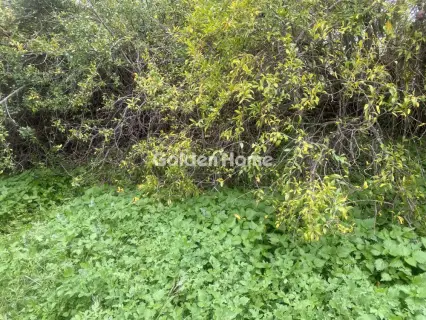 Residential 400m<sup>2</sup> for sale photo 9